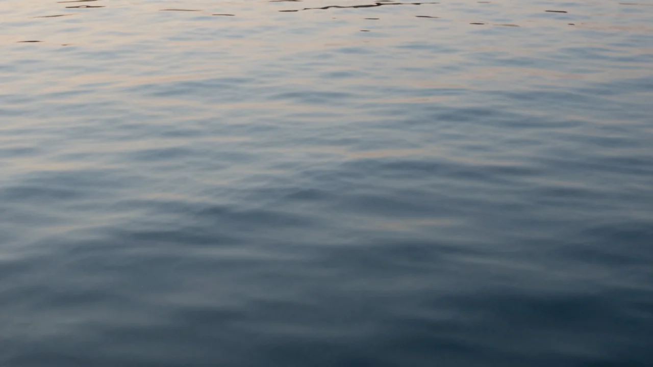 Photographie Minimaliste 2026 Tendances et Inspirations — image 4